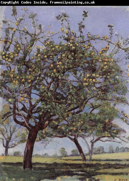 Ferdinand Hodler Apple trees